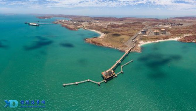 西媒：贝蒂斯与佩莱格里尼达成口头续约协议，新合同至2027年